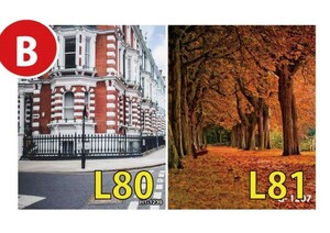 �y2026�N���܁z�w�i�z����B�@(�w�i�z2�_�Z�b�g)�@������l�l1�_�܂�